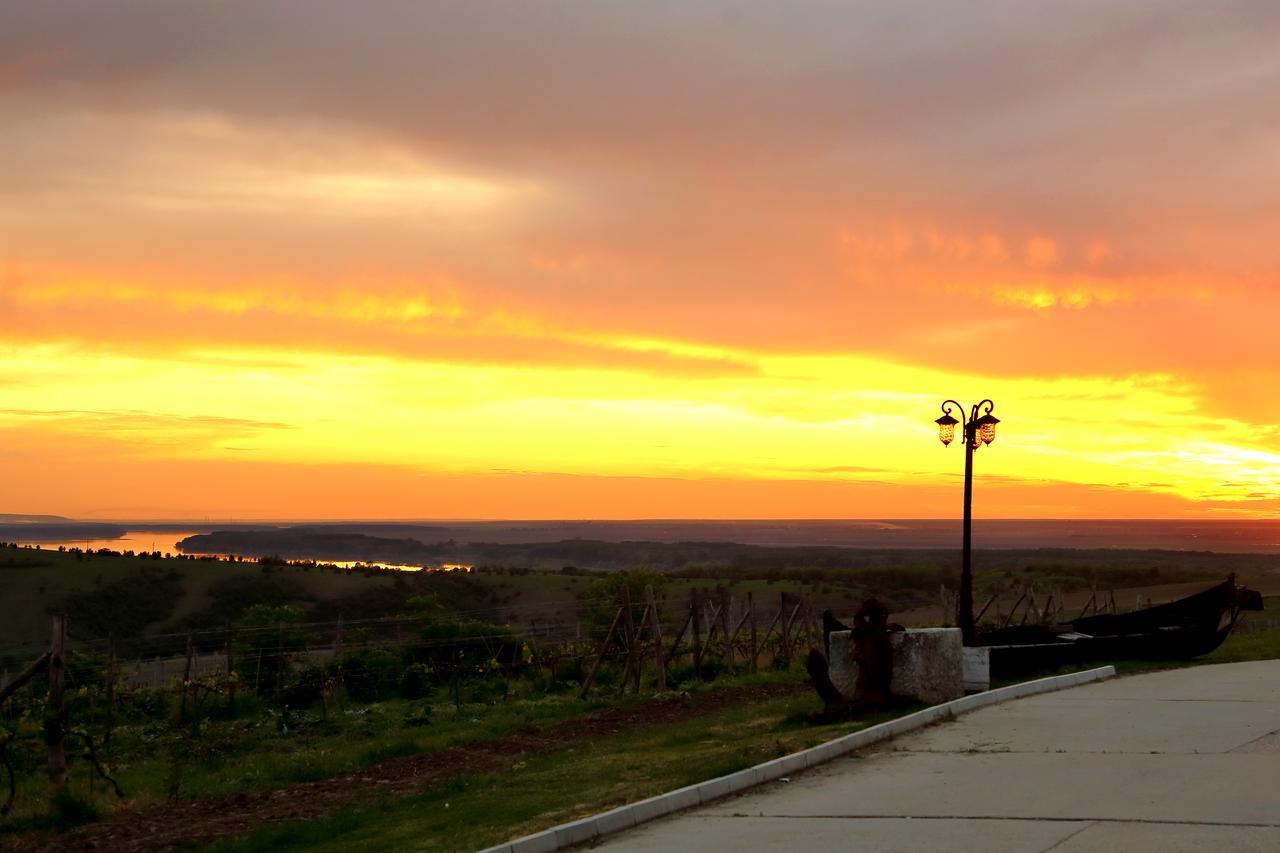 Mechka Seven Generations Winery Hotel מראה חיצוני תמונה